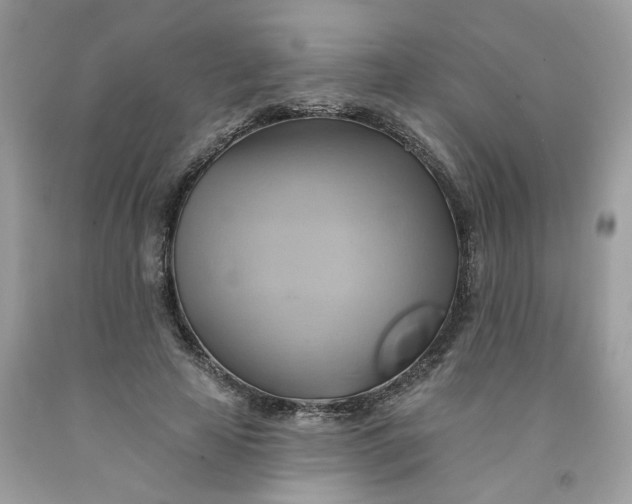 X0000091590641200709051122