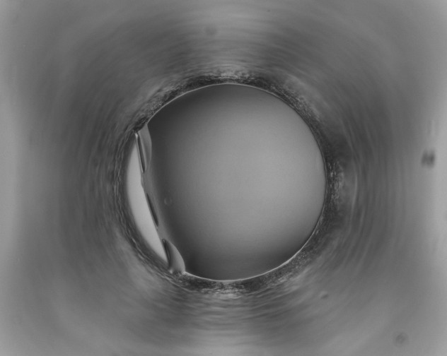 X0000091590643200709051122