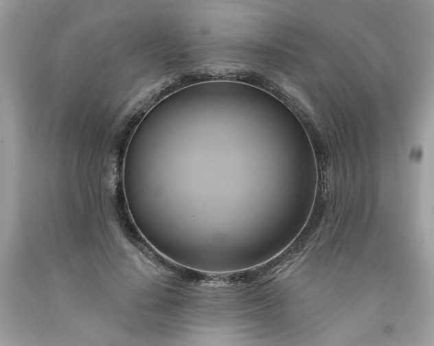 X0000091590644200709051122