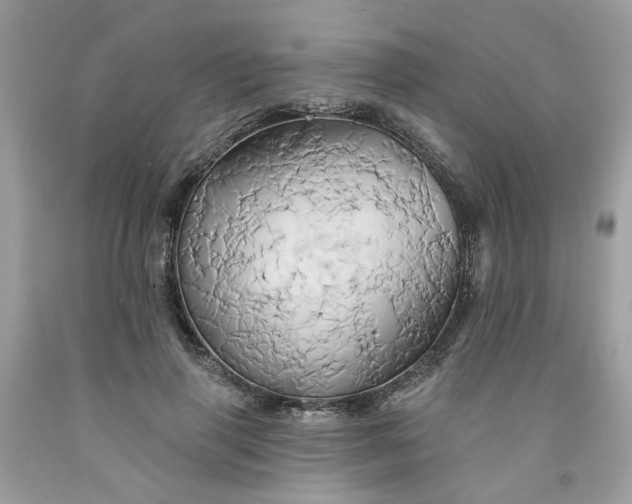 X0000091590645200709051122