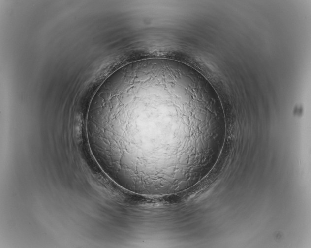 X0000091590646200709051122