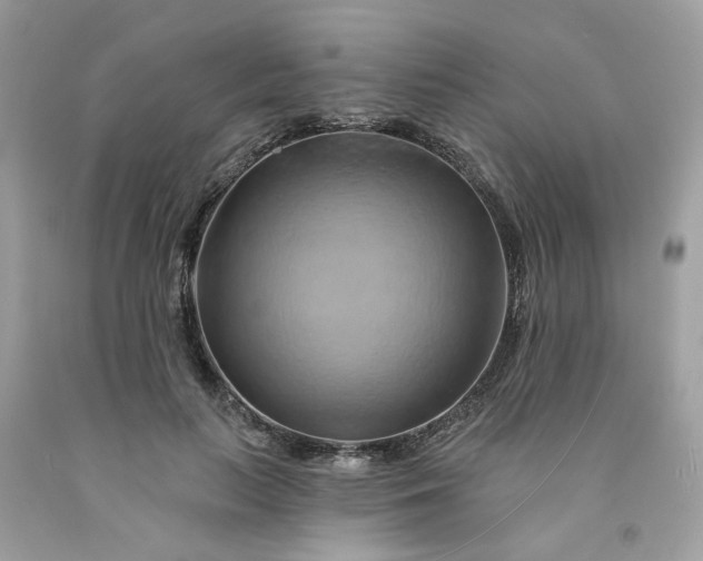 X0000091590647200709051122