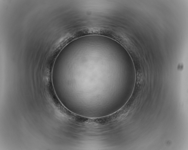 X0000091590648200709051122