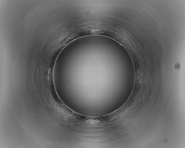 X0000091590650200709051122