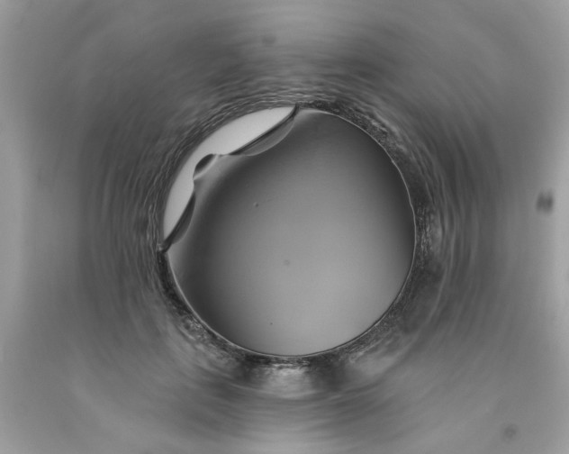 X0000091590651200709051122
