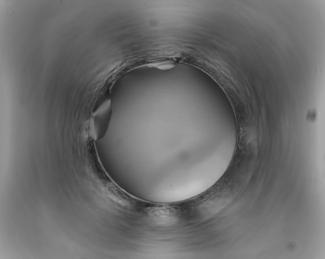 X0000091590652200709051122
