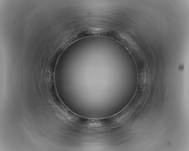 X0000091590653200709051122