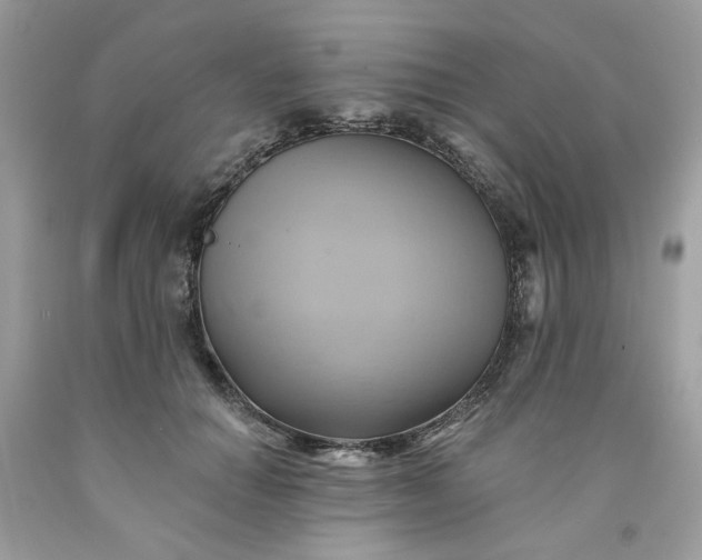 X0000091590654200709051122
