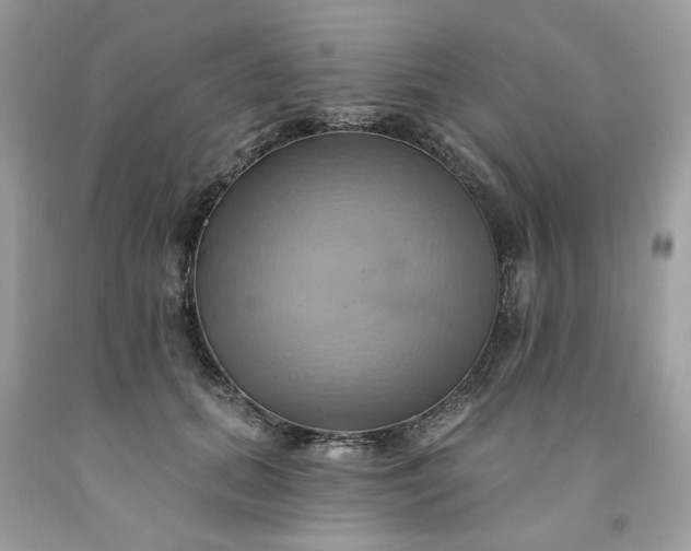 X0000091590655200709051122