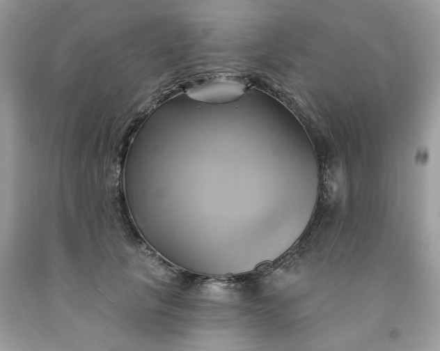 X0000091590657200709051122