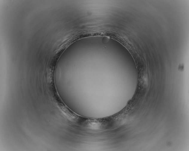 X0000091590658200709051122