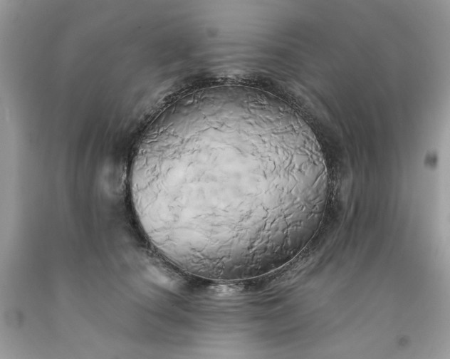 X0000091590660200709051123