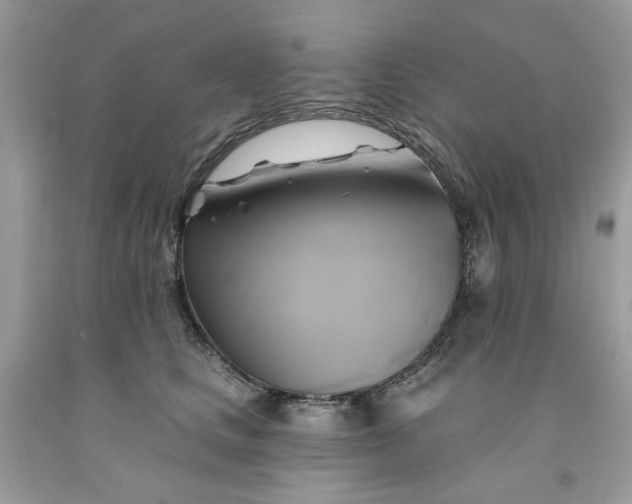 X0000091590661200709051123