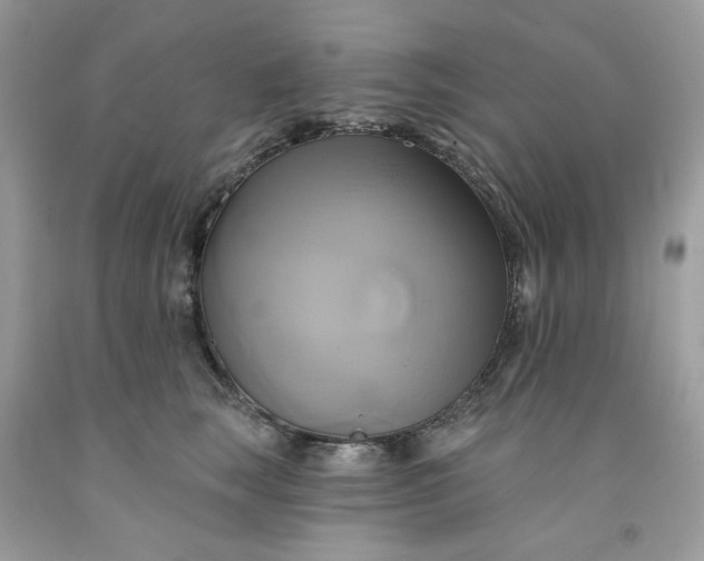 X0000091590663200709051123