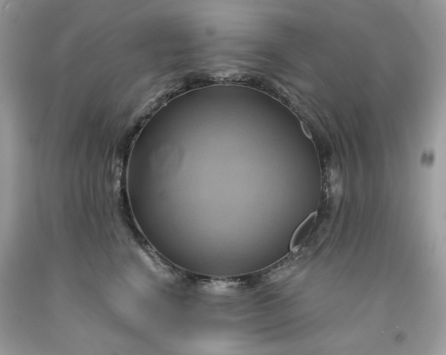 X0000091590664200709051123