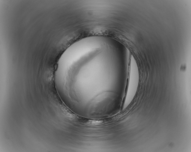 X0000091590665200709051123