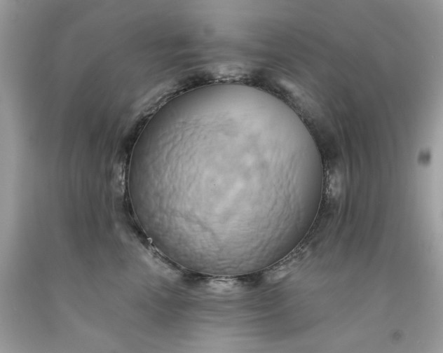 X0000091590666200709051123