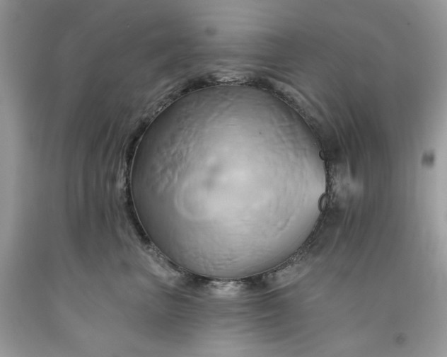 X0000091590667200709051123