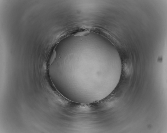 X0000091590668200709051123