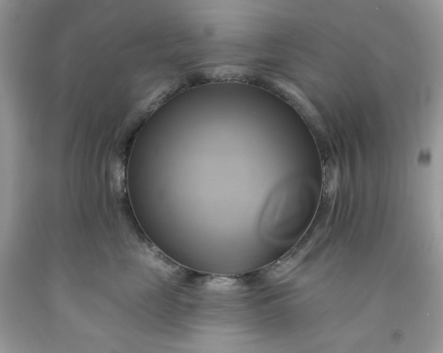 X0000091590669200709051123