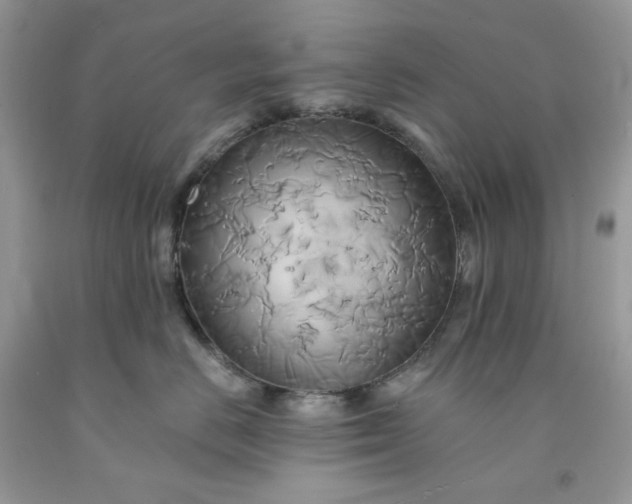 X0000091590670200709051123