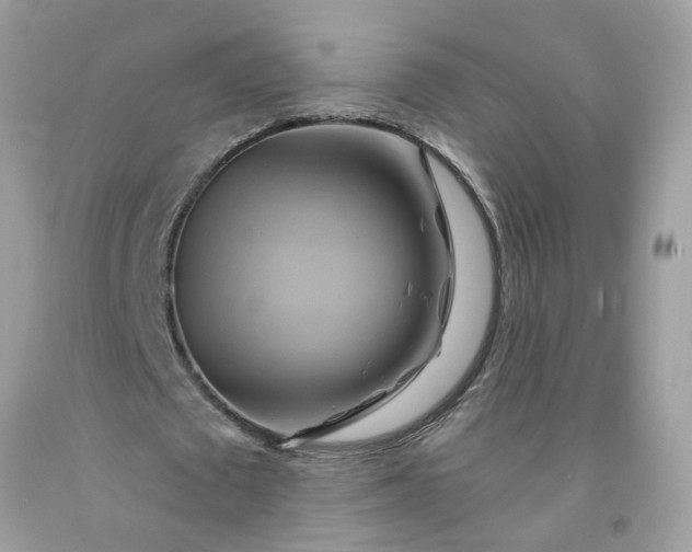 X0000091590673200709051122