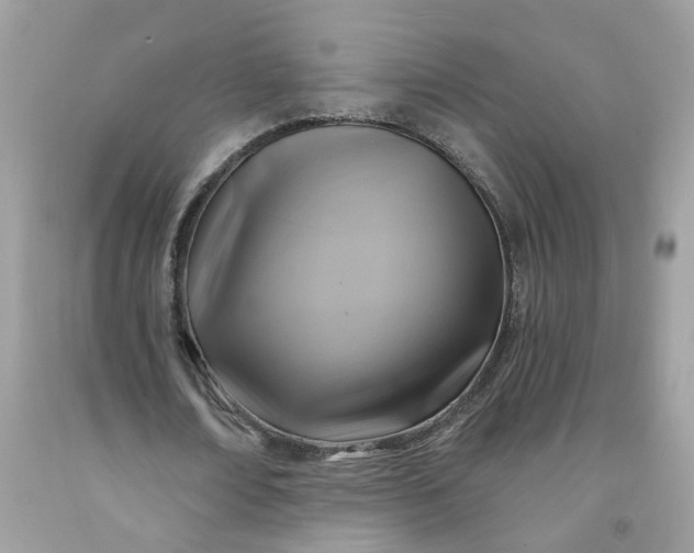 X0000091590674200709051122