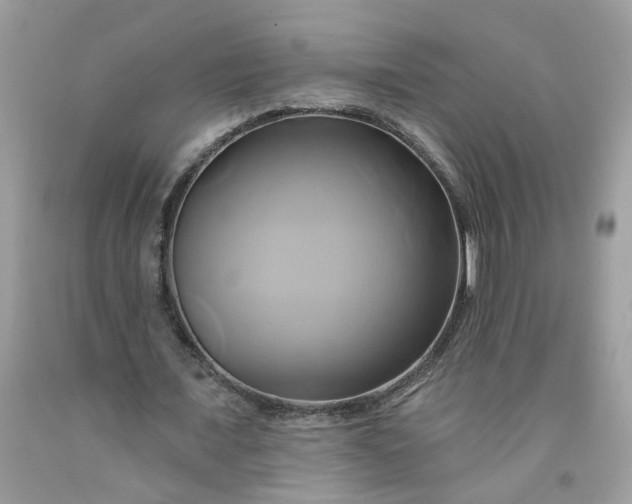X0000091590675200709051122