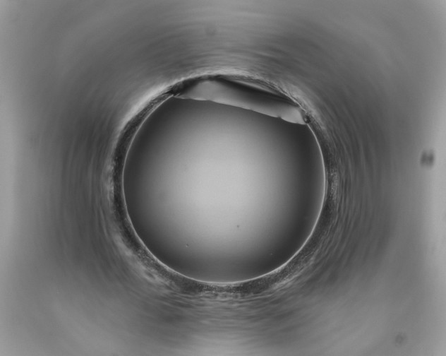 X0000091590676200709051122