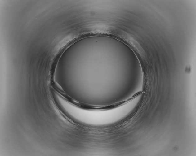 X0000091590677200709051122