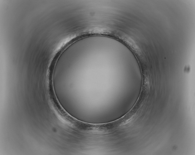 X0000091590678200709051122