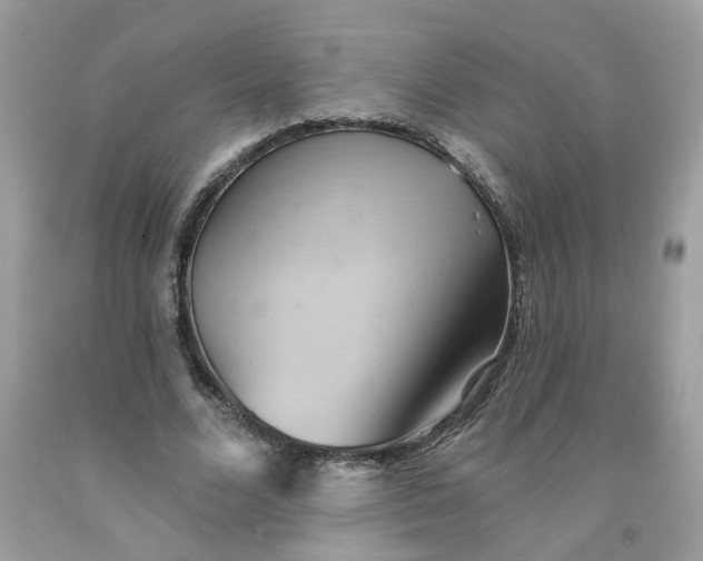 X0000091590680200709051122