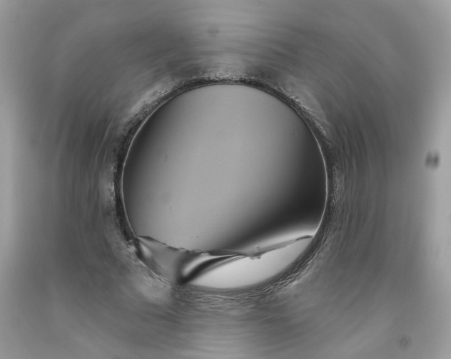 X0000091590681200709051122