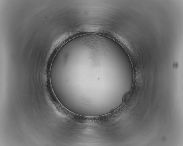 X0000091590682200709051122