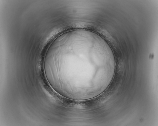 X0000091590683200709051122
