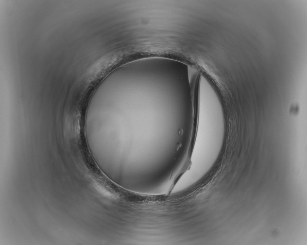 X0000091590685200709051122