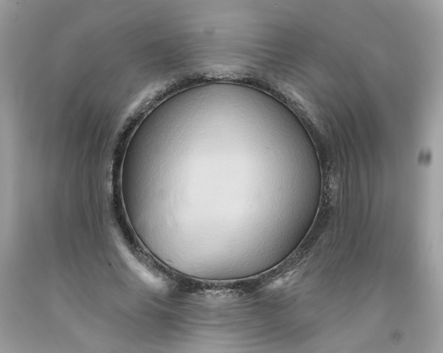 X0000091590686200709051122