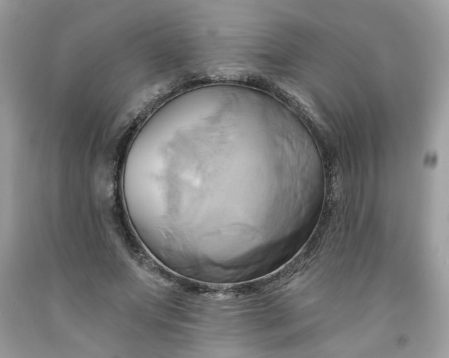 X0000091590687200709051122