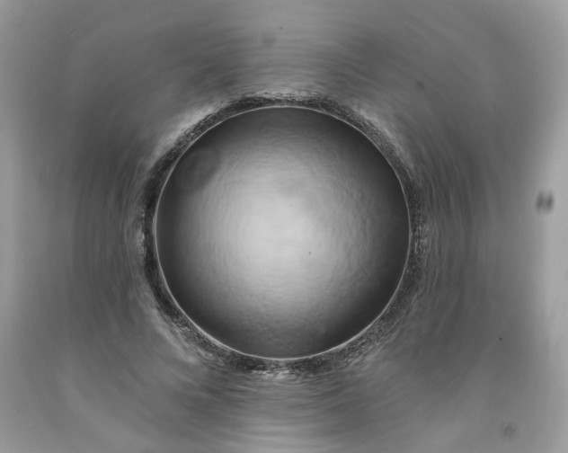 X0000091590688200709051122