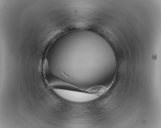 X0000091590689200709051122
