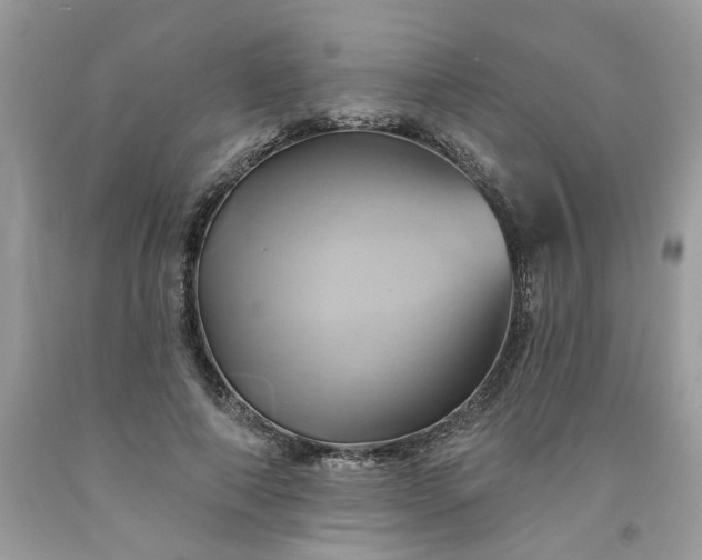 X0000091590690200709051122
