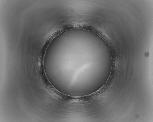 X0000091590691200709051122