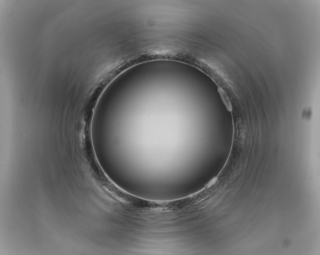 X0000091590692200709051122