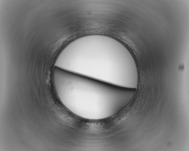 X0000091590693200709051122