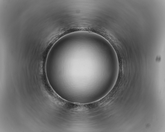 X0000091590696200709051122