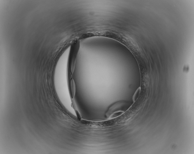 X0000091590697200709051122