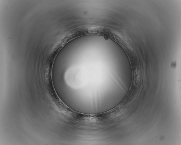 X0000091590698200709051122