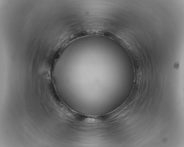 X0000091590699200709051122