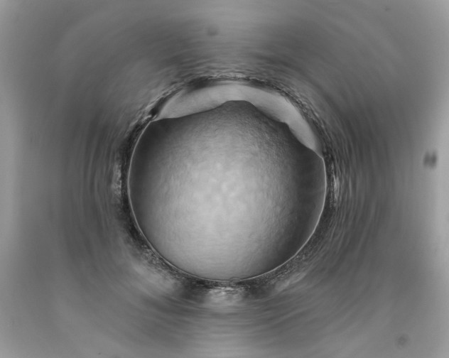 X0000091590700200709051122