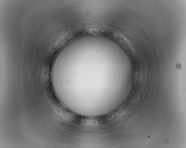 X0000091590702200709051122